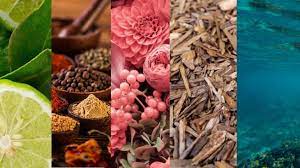 رایحه عطر.jpg